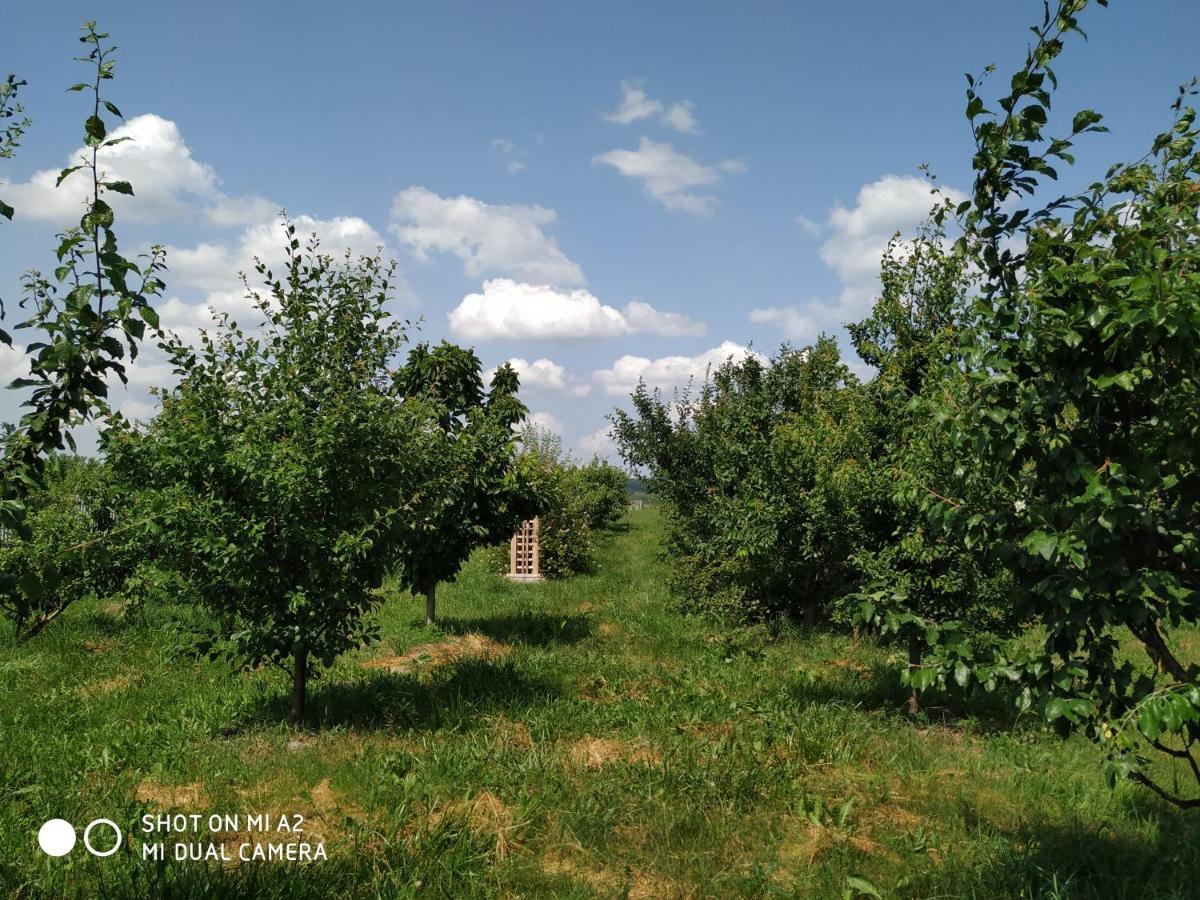 Noclegi Malgorzatka Solec-Zdrój Εξωτερικό φωτογραφία